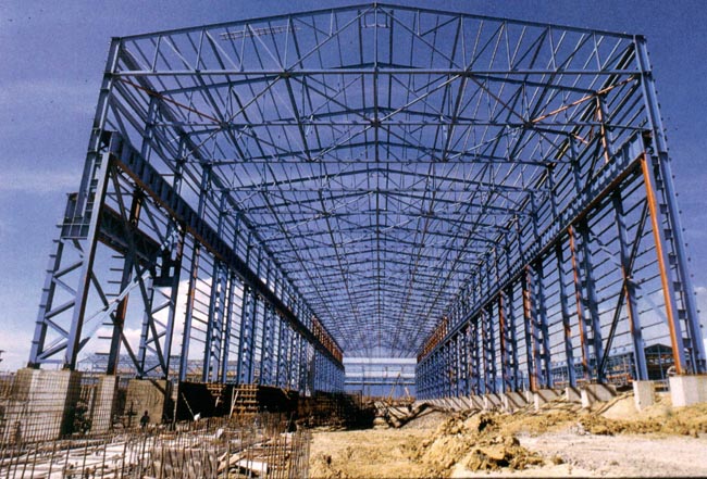 新疆船厂网架工程